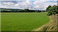 Football Pitch, West Farleigh Sports Club in ME15 0PG