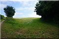 Field above Dyrham Wood in BS30 5TB