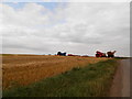 Harvesting at Mains of Carmyllie in DD11 2RJ