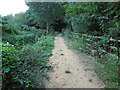 Path in Coppett's Wood in N12 0RX