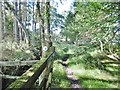 Coombe Heath, bridleway marker in BH20 6AR