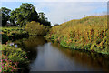 River Nidd by New Farm in YO26 8DB