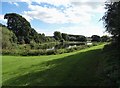 Fishing pond at The Dell - Grimethorpe Bottoms in S72 7AA