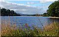 Loch Ken View in The Stewartry of Kirkcudbright