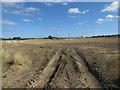 Arable field near Morwick Banks in Acklington