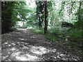 Track in Coppett's Wood in N12 0RX