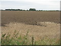 Ploughed field near Bonington in EH39 5NX