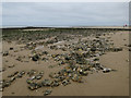 Flint on the beach near West Runton in NR27 9QP