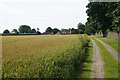 Wheat field near Cold Ashton in SN14 8JS