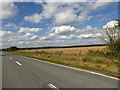 Lincolnshire farmland in DN38 6EU