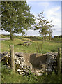 Old style stile on the Mendips in BA5 1HU