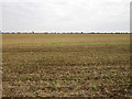 Stubble field and distant hedgerow in NG33 4HG