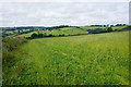 Fields on the south side of Tog Hill in BS30 5RU