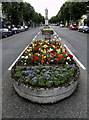 Statue and Flowerbeds in Cockermouth in CA13 9FQ