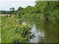 The River Avon, Salisbury in SP2 7NB