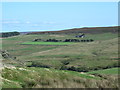 The valley of Linn Burn around Cocker Shield in NE47 0HT