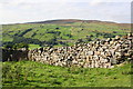 Dry stone wall on north side Gale Lane above Gale Houses in DL11 6ND