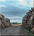 Log Stacks, Little Woolden Hall Farm in WA3 5AR