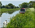 Narrowboat moored along the Chesterfield Canal in DN22 9BB