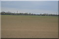 Flat field near East Tilbury in SS17 0RF