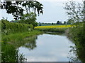 Chesterfield Canal at Wiseton in Wiseton