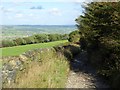 Path down from the Chevin in LS21 1DL