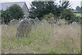 Headstones in the grass in HR5 3NR