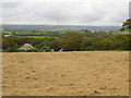 Haymaking above Trewiggett in PL30 3HW