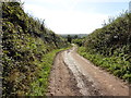 Track to Growen Farm in EX15 1LT
