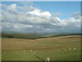 View from old cottage above Cefn Brith in Cerrigydrudion Community