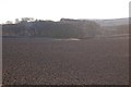 Ploughed fields near Hawick in TD9 8BU