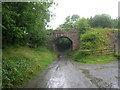 Trequite railway bridge in PL30 3EU