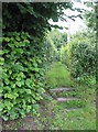 Steps at the start of the footpath in HR9 7TU