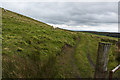 Track on Green Hill towards Pastures Higher Barn in BL7 0JW