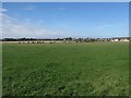 Grass field on the edge of Amble in Amble By the Sea