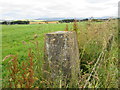 Triangulation pillar, Blair Muir in DD9 7RA