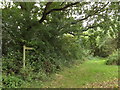 Bridleway to Burston Road in IP22 5TD