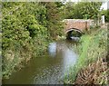 Marsh ditch and bridge at Stock Bridge in TN26 2QH
