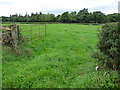 Open field gate, west of Canaan in DL8 4HL