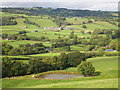 Pond And Fields Below Cefn Dolgwden in SY17 5PX