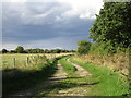 Footpath alongside Potterhanworth Wood in Potter Hanworth