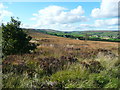 View from Moorside Lane, Haworth in BD22 0EQ