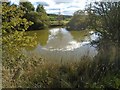 Pond at site of Tewit Hall in PR5 0RU