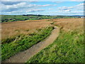 Footpath on Penistone Hill, Haworth in BD22 0EJ