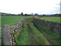 Walled farm track north east of Rathmell in BD24 0LG