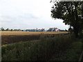 Farmland off the B1134 Long Row in Sneath Common