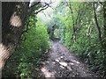 Footpath between Crankwood Road and Park Lane, Abram in WN2 5YS