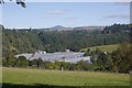 Polytunnels, Rattray in PH10 7HW