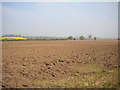 Ploughed field east of Oxton Hill Farm in NG25 0RA