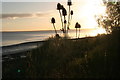 October sunset over the Humber, with teasel in HU14 3LD